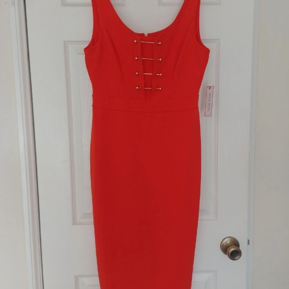 Bisou Bisou Bodycon Dress - Picture 4 of 8